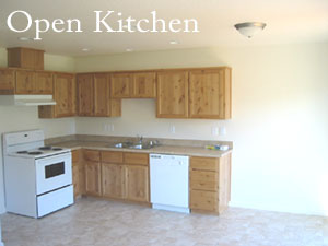 Open Kitchen